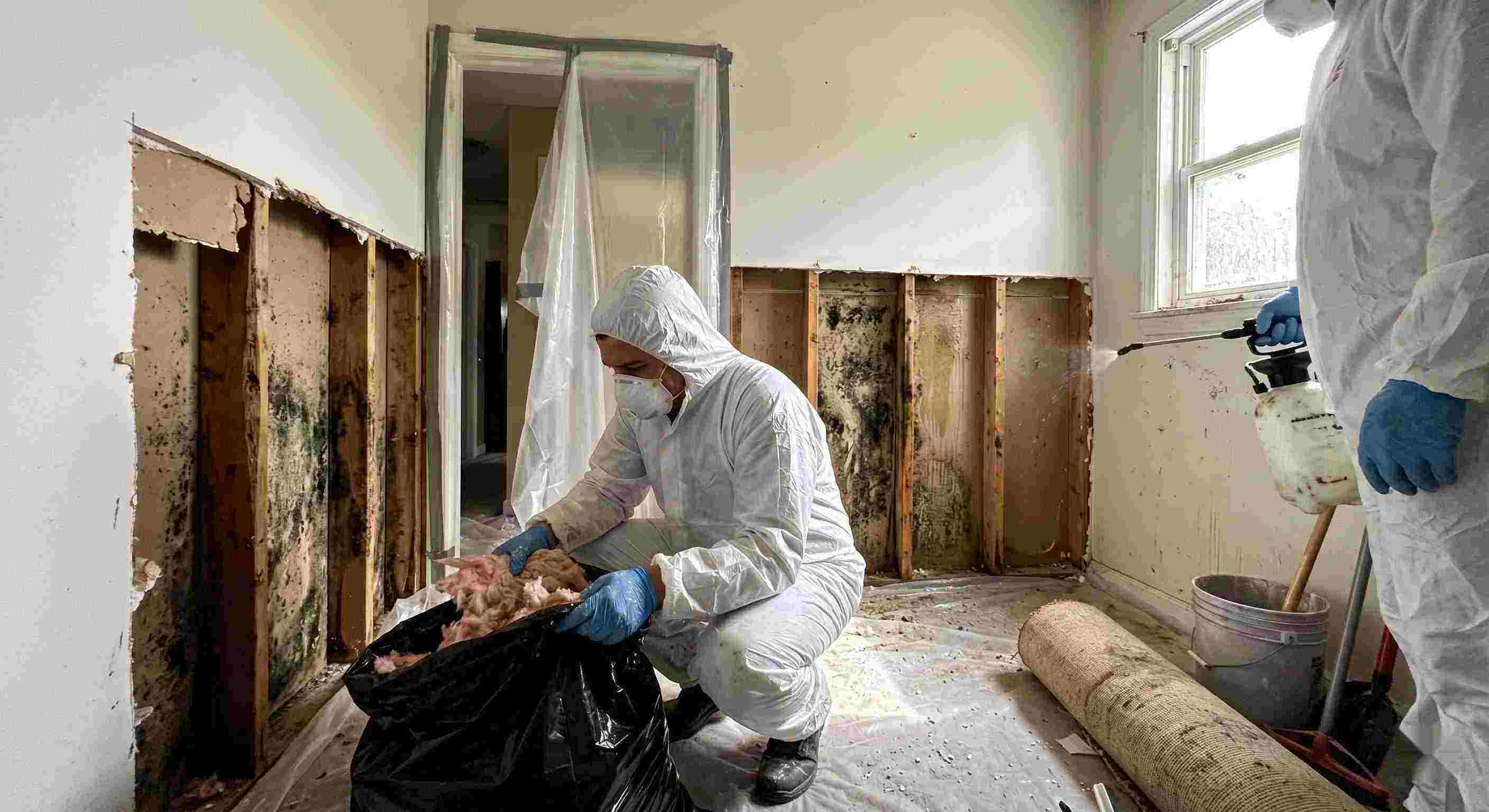 Local mold remediation services removing mold behind wall in home in Dundalk